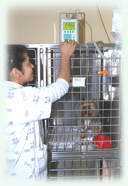 30281_16783_paseo1_hosp.gif 30281_16783_paseo1_hosp.gif