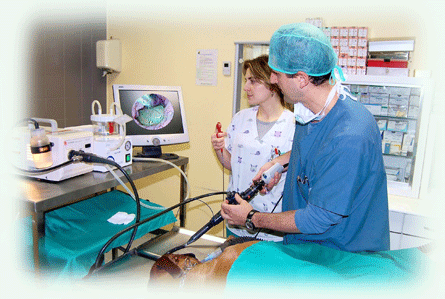 30281_16829_paseo1_quir2.gif 30281_16829_paseo1_quir2.gif